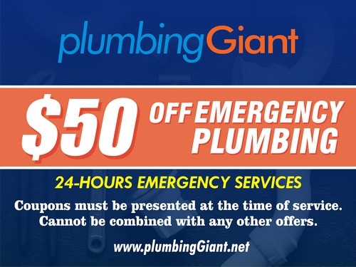 Emergency Redmond plumbers in WA near 98052