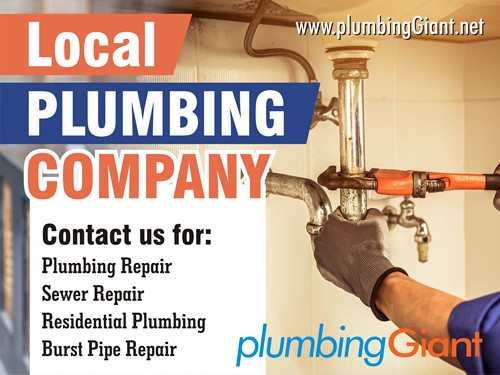 Local Federal Way plumbing company in WA near 98003
