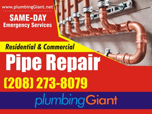 Expert Bellevue repiping services in WA near 98007